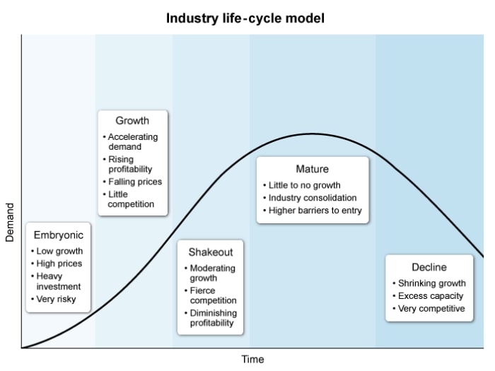 Graph depicting industry life-cycle model