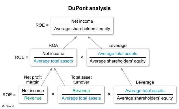 	Financial Statement Analysis